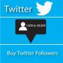 Buy Real and Cheap Twitter Followers