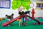Budget-friendly Dog Boarding in Dubai: Happy Tails