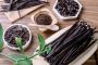 Premium Vanilla Exporter – Robust Madagascar