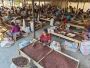 Premium Quality Peanuts Exporter – Robust Madagascar