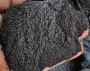 Premium Madagascar Vanilla Seed Supply – Reliable & Pure