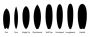 Soft Top Surfboards for Sale | 8ft Soft Top Surfboards – Roc