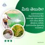 Reliable Agrochemical Solutions For Healthier Crops in India