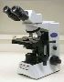Polarizing Microscope Polarizing Microscope