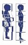 Rolfing Insight