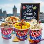  How to Start a Rolled Ice Cream Business in 2025-2026"