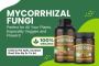 Buy Smart—Direct Source Mycorrhizal Fungi Available Now!