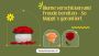 Blume verschicken und Freude bereiten – So klappt’s garantie