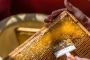 Shop Natural Honey Online