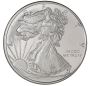 "1 10 Ounce Silver Coins For  Smart, Affordable Investments 