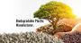 Eco-Friendly Plastic Solutions for Every Industry