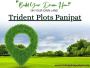 Trident Panipat - Explore Our New Premium Plots In Prime Loc