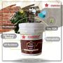 Star Smart Paint - Anti Fade UV Resistant Exterior Paint Star Smart Paint - Anti Fade UV Resistant Exterior Paint