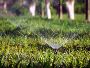 Top-Quality Irrigation Supplies for Efficient Water Manageme