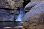 Monsoon Magic in Coorg: A September Travel Guide