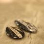 Bring Balance and Focus with the Orthoceras Fossil