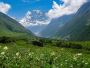 Valley of Flowers - Best Monsoon Trek