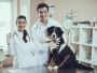 Expert Veterinary Internal Medicine in Sacramento!
