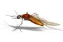 Pest Control Services In Thane – Sadguru Facility