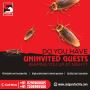 Pest Control Services in Dahisar - Sadguru Facility