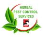 Pest Control Services in Andheri by Sadguru Pest Control