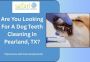 Are You Looking For A Dog Teeth Cleaning in Pearland, TX?