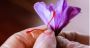 Yaqoot saffron deliver Pure Saffron | yaqoot saffron 
