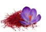 Yaqoot Saffron | Saffron Wholesaler