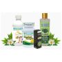 Ayurvedic Treatment For Acne - Acne Care Pack 