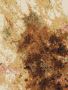 India's Largest Manufacturer of Hand Knotted Rugs, Best Rugs