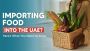 Import Food Products to the UAE - A Guide for Entrepreneurs