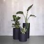 Buy Best Fiberglass Planters Buy Best Fiberglass Planters