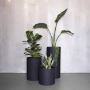 Best Indoor Plants Planters