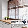 Explore Distinctive Window Shade Designs