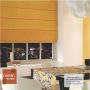 Elegant Roman Blinds for Windows