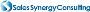 Sales Synergy Consulting