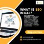 🔍 What is SEO in the UAE? 🔍