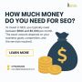💰 How Much Money Do You Need for SEO? 💰