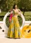 Shop and Glow in Style Haldi Outfits For Women – Raji Ramniq
