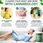 An Herbal Detox Cleanses the Body Naturally.