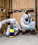 System Pest Control: Premier Termite Removal Services System Pest Control: Premier Termite Removal Services