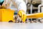 Rodent Control Services in Bhubaneswar, Odisha