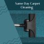 Carpet Cleaning Coomera - Quick, Reliable, and Professional 
