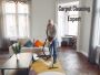Affordable, Reliable Carpet Cleaning in Indooroopilly Affordable, Reliable Carpet Cleaning in Indooroopilly