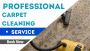 Spotless Results, Every Time – Carpet Cleaning Mornington