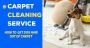 Professional Carpet Cleaning Glenelg Freshness You Can Feel