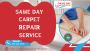 Extend Your Carpet’s Life with Expert Repairs