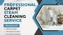 Croydon’s Trusted Name for Deep Carpet Steam Cleaning