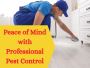 Protect Your Home with Expert Pest Control in Keysborough