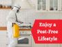 Say Goodbye to Pests with Narre Warren’s Trusted Experts